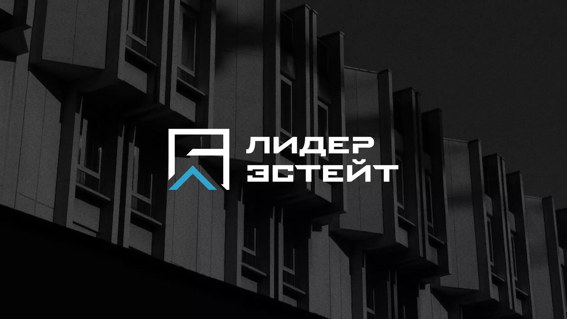 Разработка логотипа агентства недвижимости «Лидер Эстейт» в Хотьково
